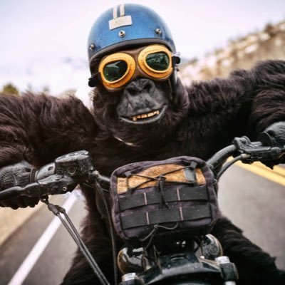 LoriK79523's profile picture. Solana nationalist