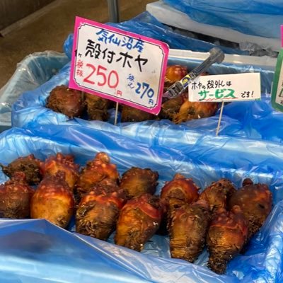 WGOPxM32tYBOSLV's profile picture. exホヤおぢちゃん🏝️🍍ぎょっとFMラヂオ気仙沼のリスナー🐟📻Unwave FRAM DooMiu 井上陽水 徳永英明 ヒートウェイブ ラフィンノーズThe Clash Gen X CHAOS U.K. 🎵はむかっぱ ホヤぼーや🐹🥒BTB BEER🍺気仙沼旅🚙