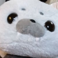 ろ (@rororo_pannda29) 's Twitter Profile