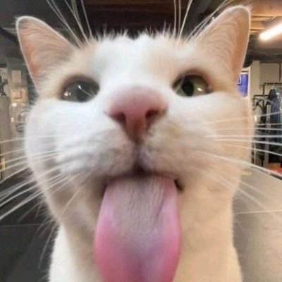 Feminist. Atheist and i try my best to be a rationalist???btwww i rant here ALOT and drop thirst traps at times. Pansexual. TW: profanities, sh, ed. i fw dhh