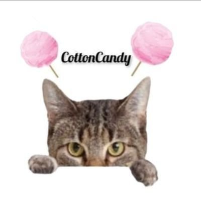 ぬいぬこ大好き『もふもふ住民』🧸💭ハンドメイド作家サン閲覧🤩愛猫キジトラの下僕🐈💓 フリーヘッダー🐱ツネ@ musitsune さん