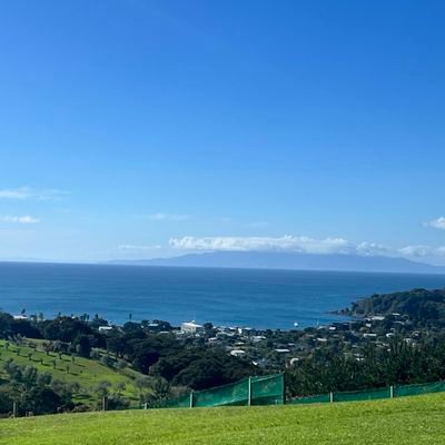 Campbel41065595's profile picture. 