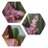 Rubinaibrahim02's profile image