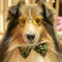 たぁ (@takahirock0330) 's Twitter Profile