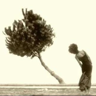 journaliz_er's profile picture. 