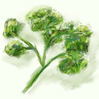 🌿 (@pclrapia) 's Twitter Profile