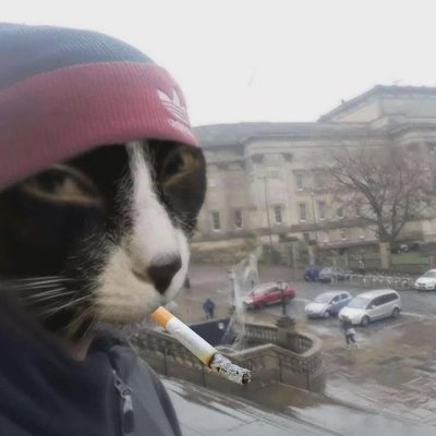 Peicdk's profile image