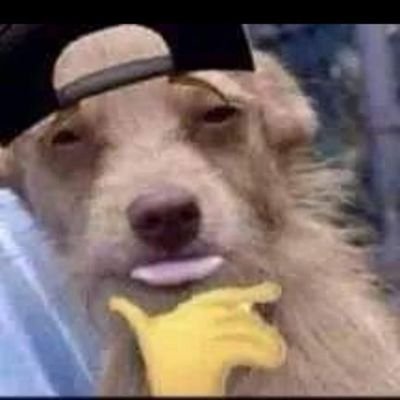 brianacarr40798's profile picture. 