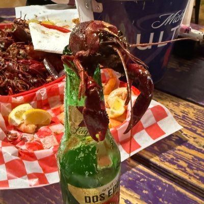 MjSharkmeat's profile picture. 