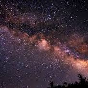 星野ゆうき (@graciecar36) 's Twitter Profile Photo