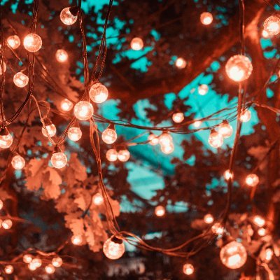 SJianny666's profile picture. 