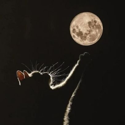 Elmarxe17's profile picture. 📍Madrid♑️
🌍🇪🇸🇨🇵🇵🇹🇺🇦🇨🇺🇺🇲🇮🇹🇲🇦🇩🇪🇨🇳🇰🇷🇯🇵🇨🇷🇹🇭🇧🇭🌎
⏳️El tiempo es la moneda más desvalorizada⌛️