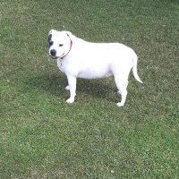 kingboyd&rockmanrock (@kingboyd3am) 's Twitter Profile