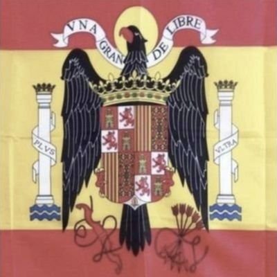 MIENTRAS SEAS YUNQUE AGUANTA... CUANDO SEAS MARTILLO GOLPEA! EL FASCISMO SALVARÁ A EUROPA PUTOS ROJOS DE MIERDA!