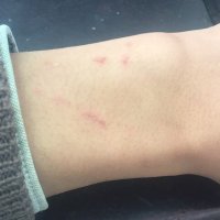 wxyyyc (@wxyyyc) 's Twitter Profile