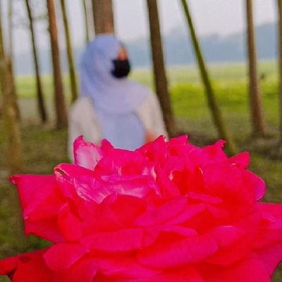 IslamMusta20066's profile picture. Digital Marketing Expert