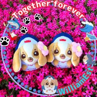 Sachi🇯🇵🎸🦈Westie🎸🦈🥚 (@wesley_bbf_cute) / X