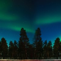 Arcane aurora (@arcaneaurora0) 's Twitter Profile