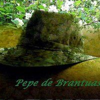 ن Pepe de Brantuas (@pepebrantuas) 's Twitter Profile