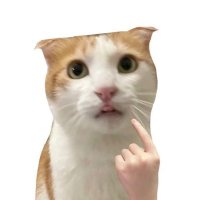 mphuowgg (@phuongg76762592) 's Twitter Profile