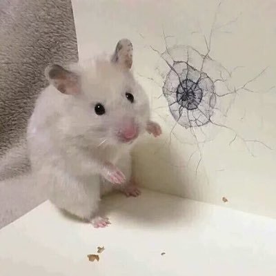 애지중지さんのプロフィール画像