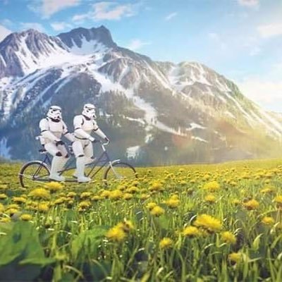 DraytonTaylor5's profile picture. 