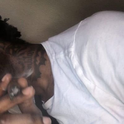 1nvvyseal's profile picture. #backuppage