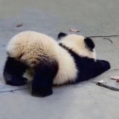 出産予定日 7/30🦖 情報収集のために今更ながらマタ垢作成 マタ垢ルールわかってないので失礼あればすみません🙇♀️ ☺︎ついてる方にはタメ口失礼します!