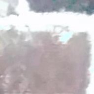 ashanotashya's profile picture. 