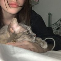 F (@1iofw) Twitter profile photo