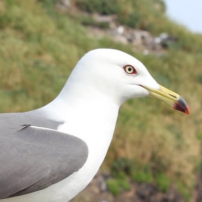 agaenopanties Profile Picture