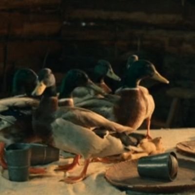 Big fan of ducks and Doctor Who! He/him. Avoiding leaks!!! Don't be a bigot, and keep boycotting against the IDF! 🦆🇵🇸