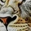Moriahmill78762's profile picture. 