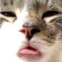 nu2g906 (@umusufh) 's Twitter Profile