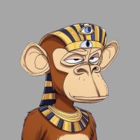CriptHorus 𓂀 (@cripthorus) 's Twitter Profile Photo CriptHorus 𓂀 (@cripthorus) 's Twitter Profile Photo