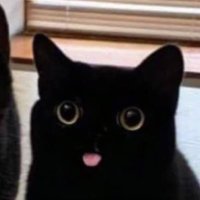 FeUSi (@fuseholy) 's Twitter Profile Photo FeUSi (@fuseholy) 's Twitter Profile Photo