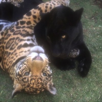 ka61572's profile picture. 