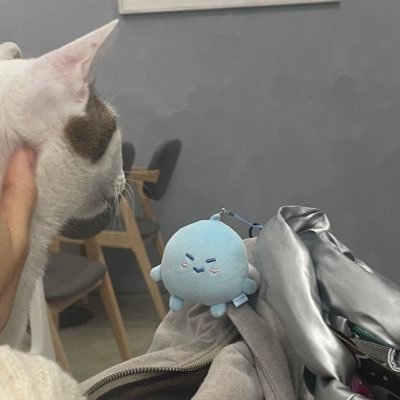 m_y_yoru's profile picture. 