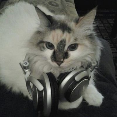 axlowkylate's profile picture. 