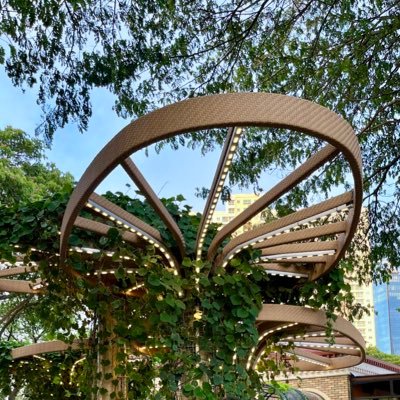 lo_yardo's profile picture. Just Fun, Let's Chill