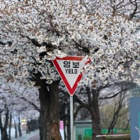 생각이읍습니다 (@nothingno126) 's Twitter Profile Photo 생각이읍습니다 (@nothingno126) 's Twitter Profile Photo