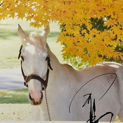 H3gTBNK1s3AmKqf's profile picture. 