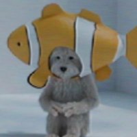 reyk (@reykjavik_j) 's Twitter Profile Photo reyk (@reykjavik_j) 's Twitter Profile Photo