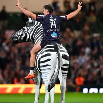 bordelais1733's profile picture. 💙🤍 FCGB - UBB - Chamois Niortais