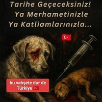 Ayfer🧚‍♀️ (@ayfer96147708) 's Twitter Profile Photo