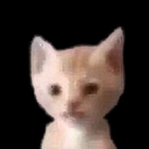 testinglolさんのプロフィール画像