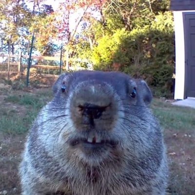 aronnssjr's profile picture. que miras?