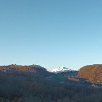 Meronis (@meroni_simone) 's Twitter Profile Photo