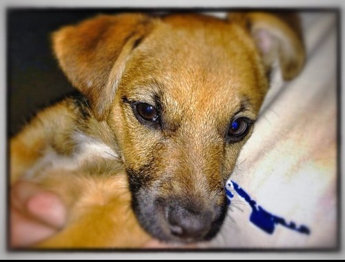 KevsMarley's profile picture. I belong to @Kevin_McCabeTKD