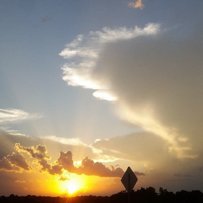 Long time storm spotter/chaser, 20ish yrs.
Music lover. 3 dogs. LGBTQ+ ally. Sober 5 years.
( @swanee327.bsky.social )